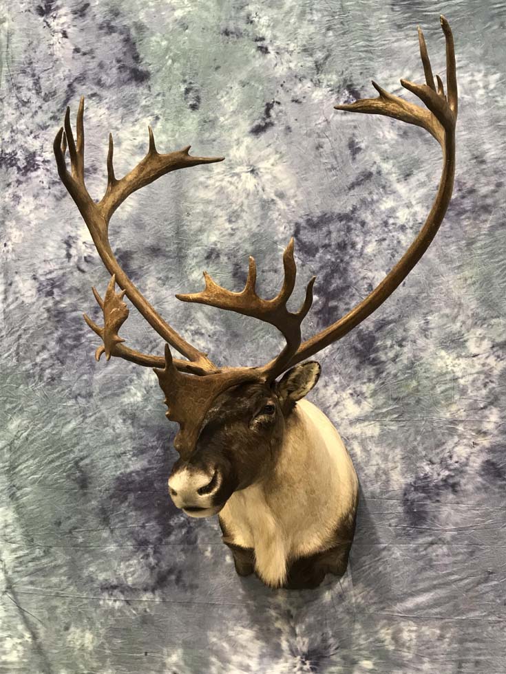 19-2021