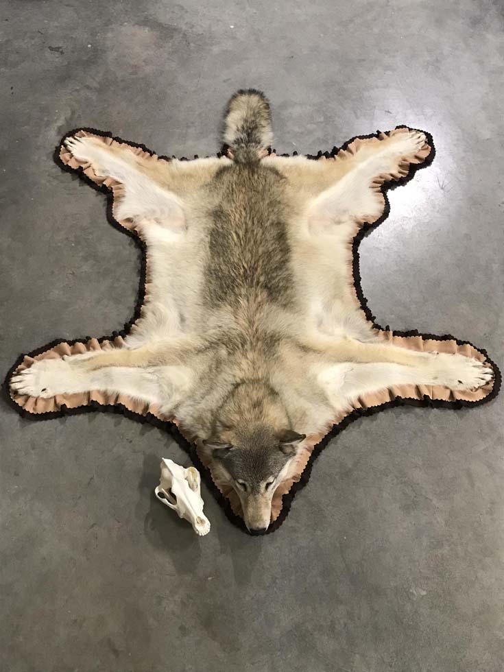 17-2021