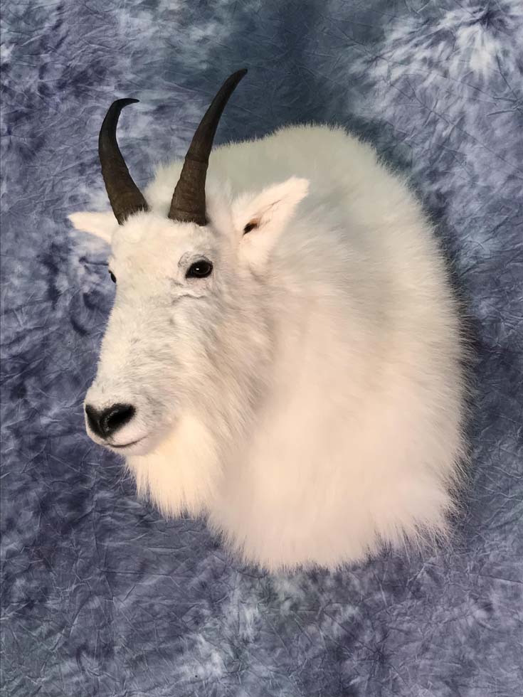 18-2021