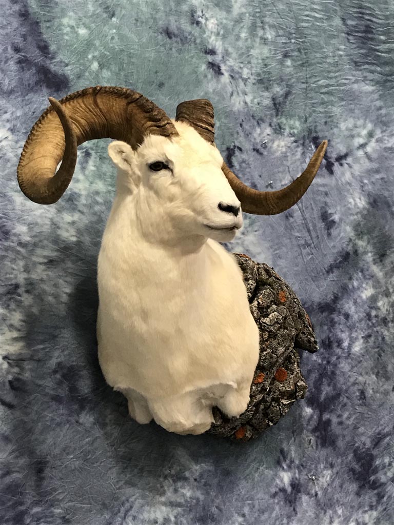 ram-17a