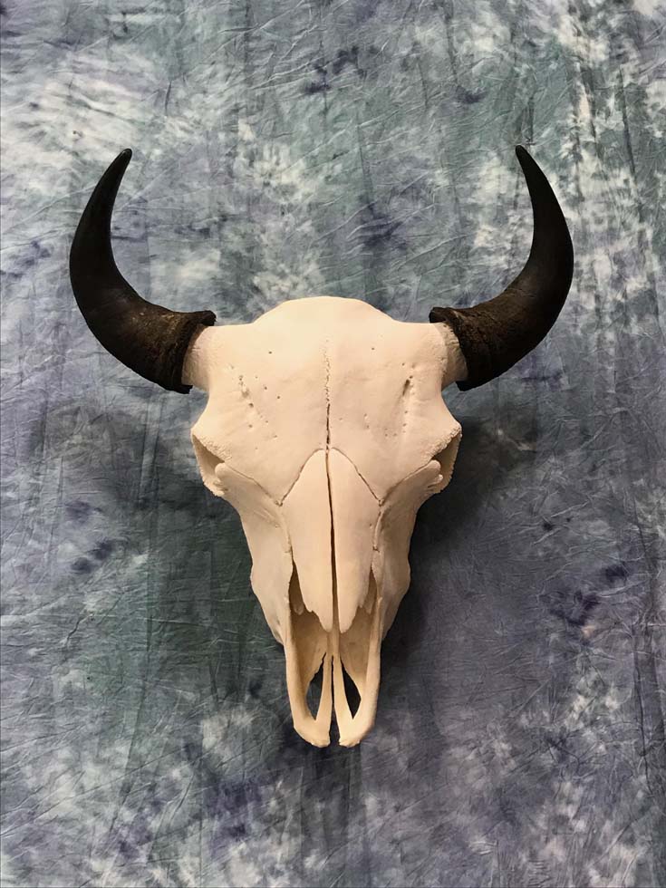 mounts03