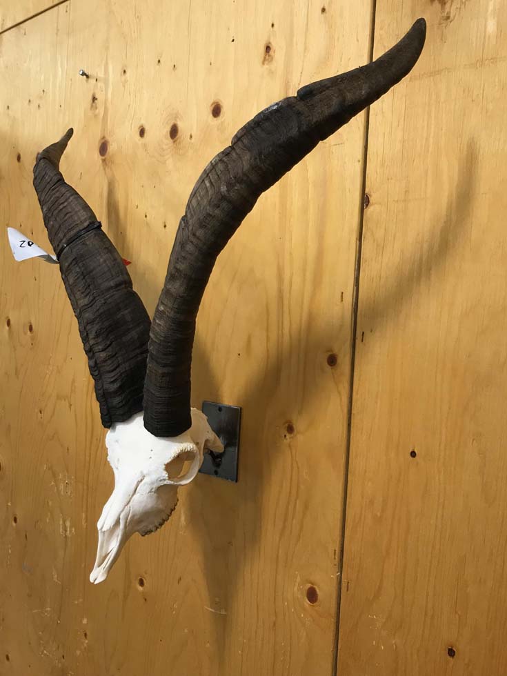 mounts09